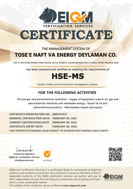 HSE-MS ، 10006:2017